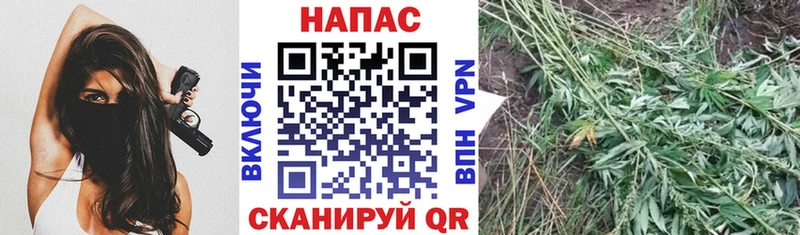 ГАШ Серпухов