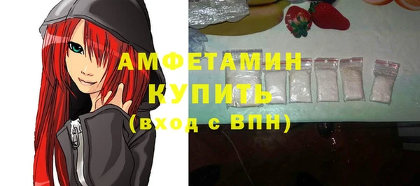 стафф Ельня