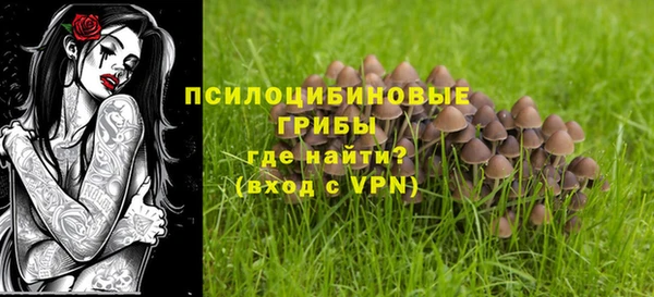 соль курить ск Дмитриев