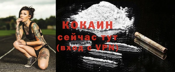 прущий лед Дмитров