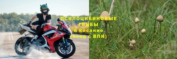 бошки Елабуга
