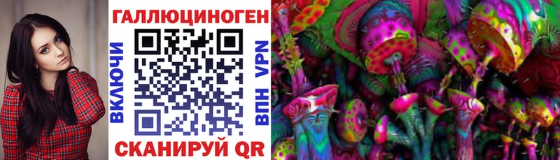 где продают наркотики  Серпухов  Галлюциногенные грибы Cubensis 