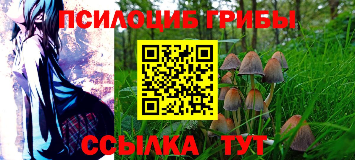 закладки  Псилоцибиновые грибы MAGIC MUSHROOMS  Галлюциногенные грибы GOLDEN TEACHER  Вход с VPN  Серпухов 